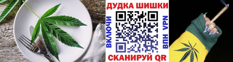 дарнет шоп  Жуковский  Cannafood конопля 