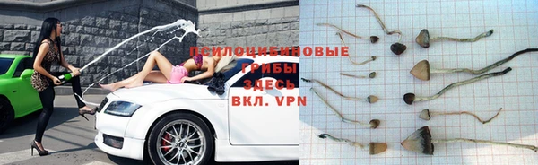 хмурый Осташков
