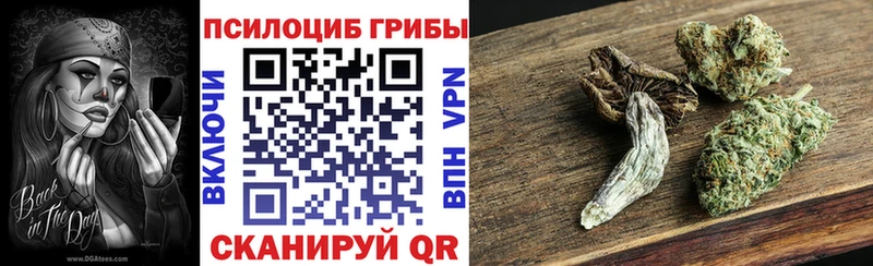 Псилоцибиновые грибы MAGIC MUSHROOMS  Жуковский 
