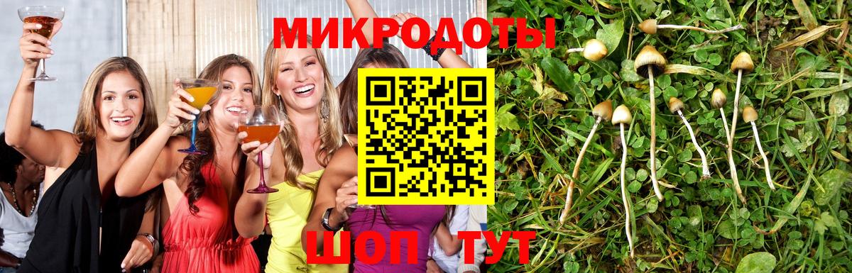 Псилоцибиновые грибы Cubensis Жуковский