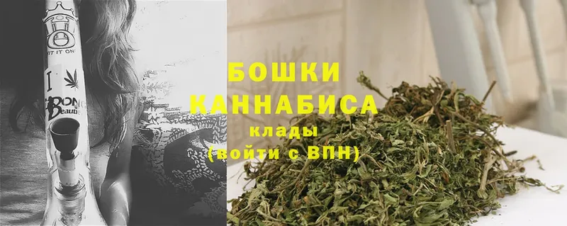 Бошки марихуана Bruce Banner  Жуковский 